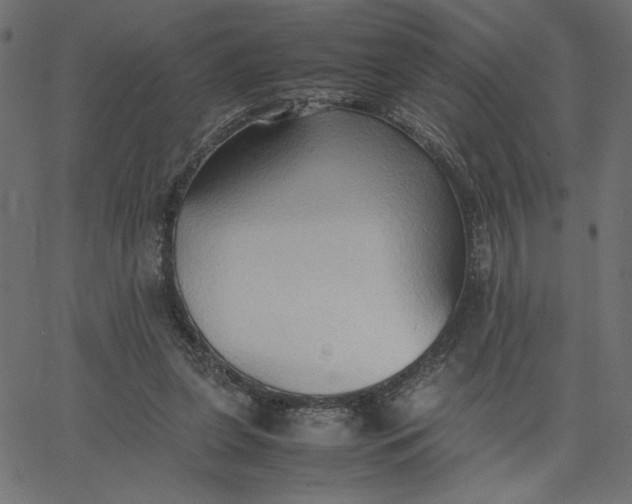 X0000067830255200604271602