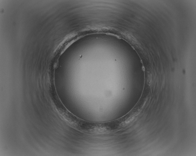 X0000067830256200604271602