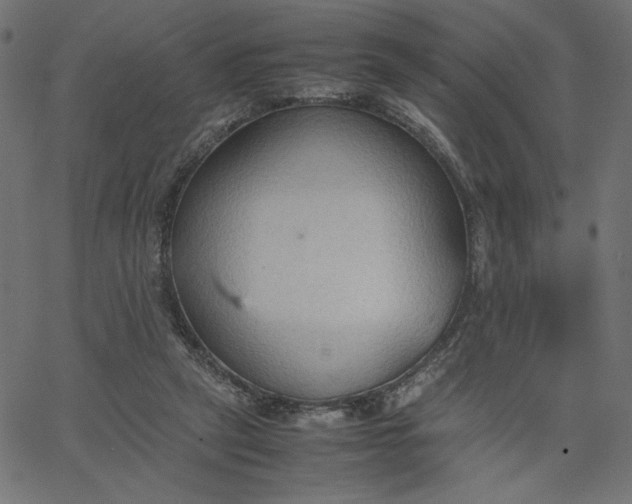 X0000067830257200604271602