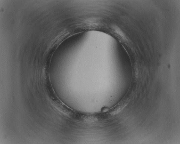 X0000067830258200604271602