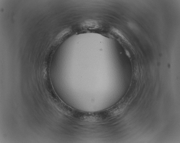 X0000067830259200604271602