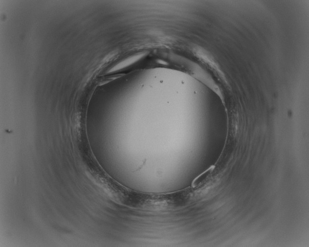 X0000067830260200604271602