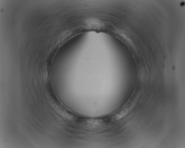 X0000067830261200604271602