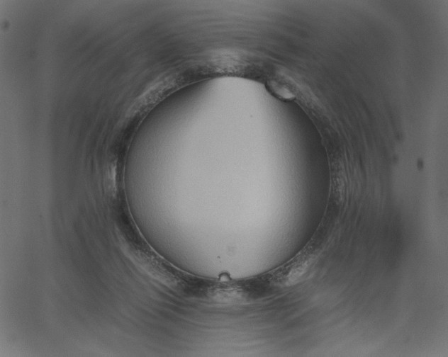 X0000067830262200604271602