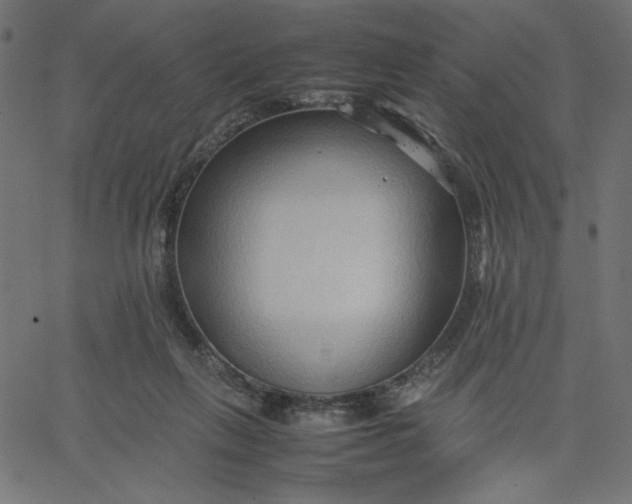 X0000067830263200604271602