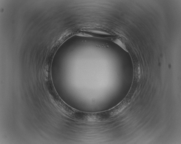 X0000067830264200604271602