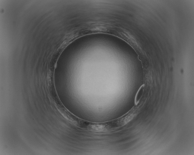 X0000067830265200604271602