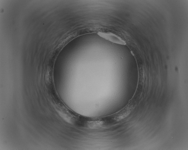 X0000067830266200604271602