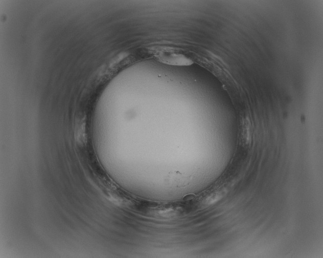 X0000067830267200604271602