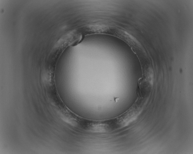 X0000067830268200604271602