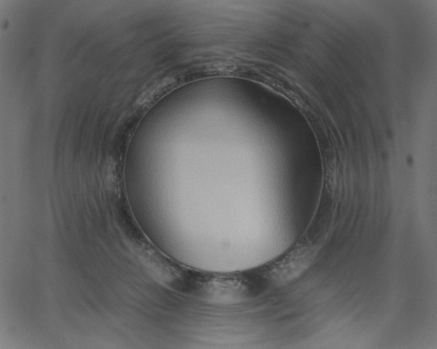 X0000067830270200604271602