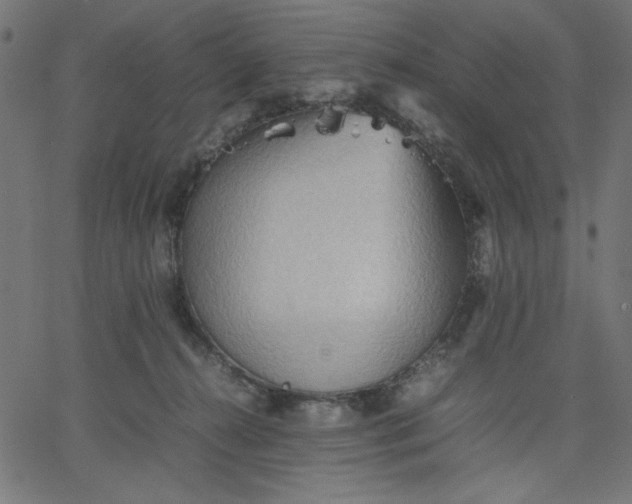 X0000067830272200604271602