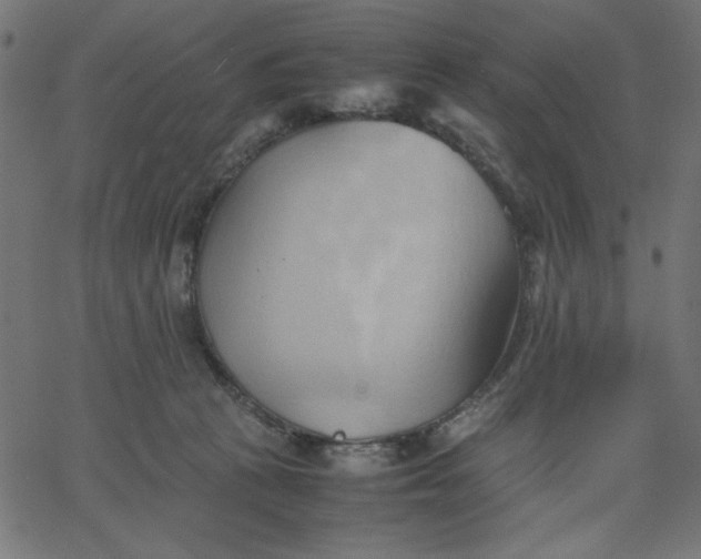 X0000067830273200604271602