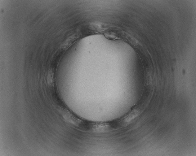 X0000067830274200604271602