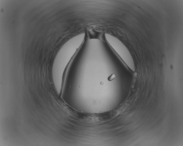 X0000067830276200604271602