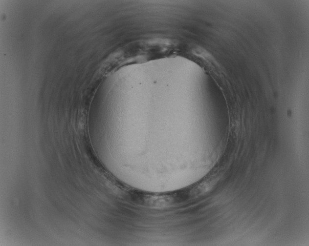 X0000067830277200604271602