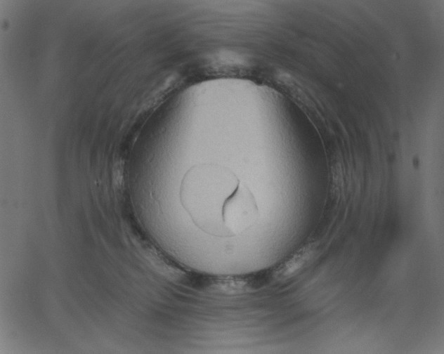 X0000067830278200604271602