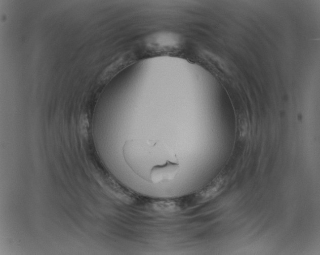 X0000067830279200604271602