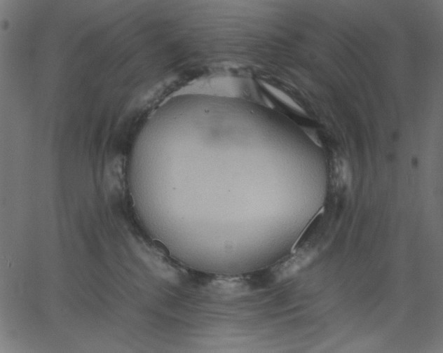 X0000067830280200604271602