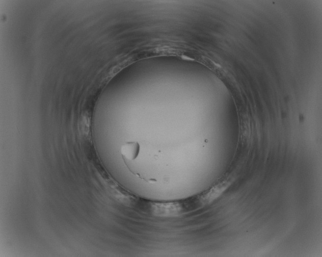 X0000067830281200604271602