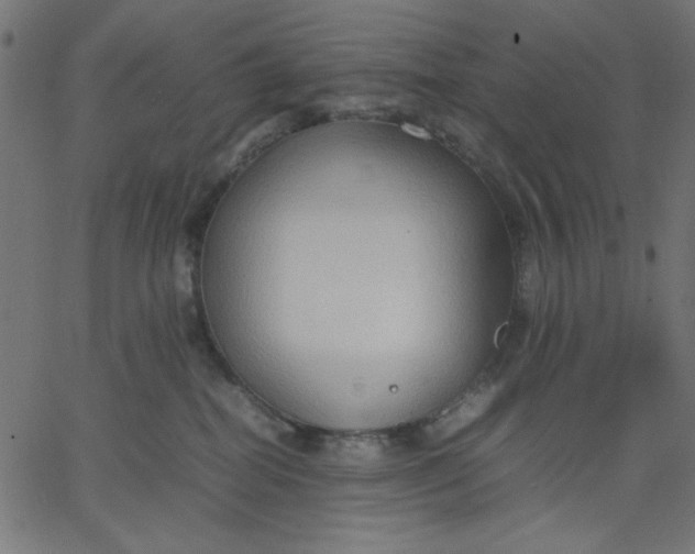 X0000067830282200604271602