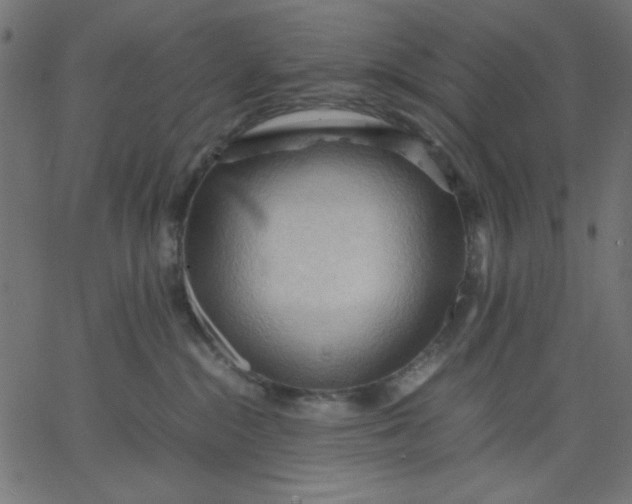 X0000067830284200604271602