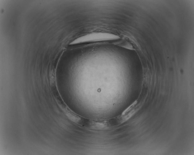 X0000067830285200604271602