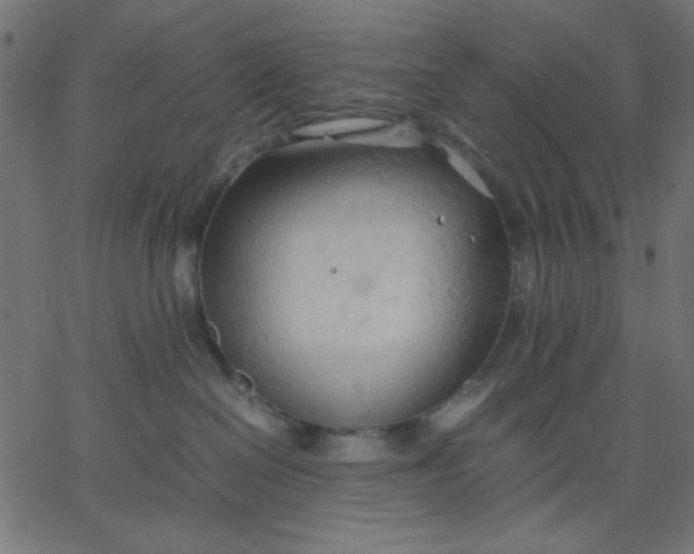 X0000067830286200604271602