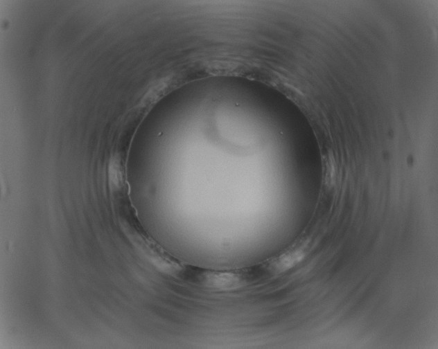 X0000067830287200604271602