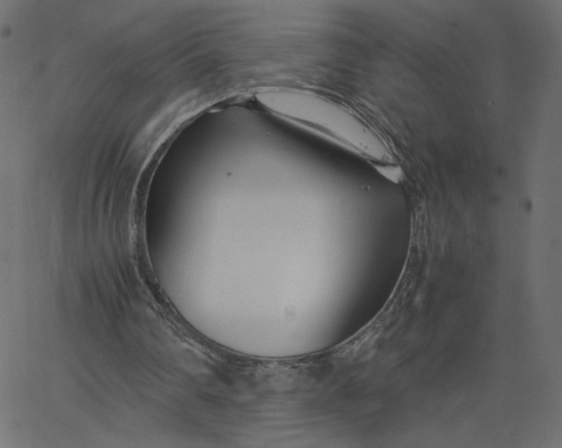 X0000067830290200604271601