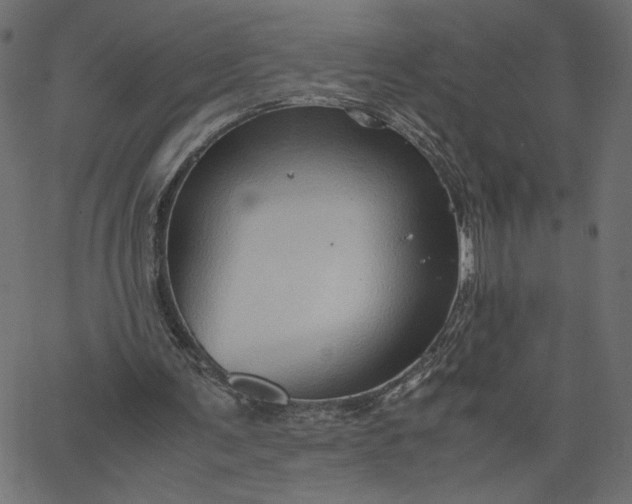 X0000067830291200604271601