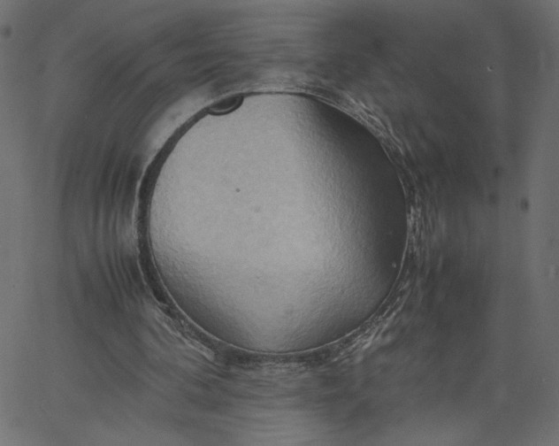 X0000067830292200604271601