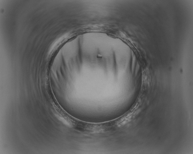 X0000067830293200604271601