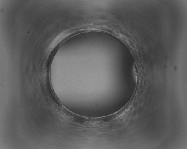 X0000067830295200604271601