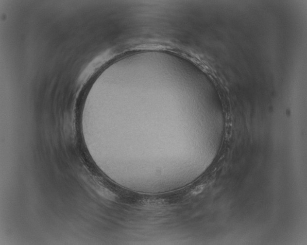 X0000067830296200604271601