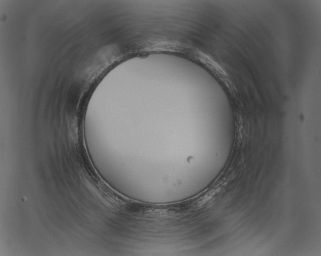 X0000067830298200604271601