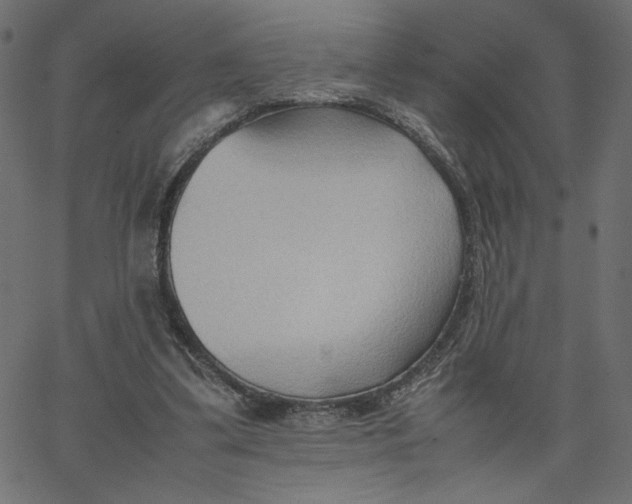 X0000067830299200604271601