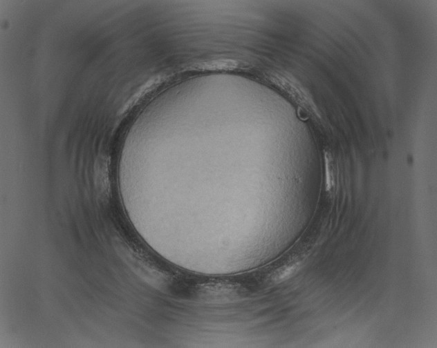 X0000067830300200604271601