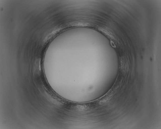 X0000067830302200604271601