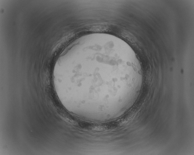 X0000067830303200604271601