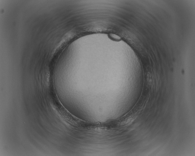 X0000067830304200604271601