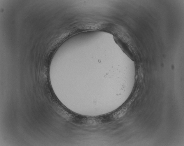 X0000067830305200604271601