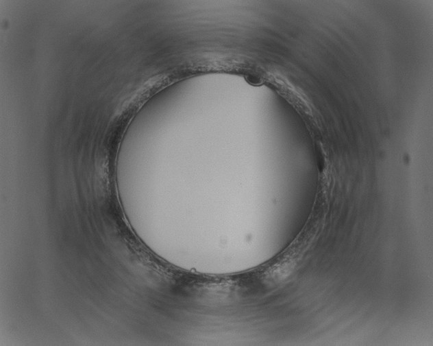 X0000067830306200604271601