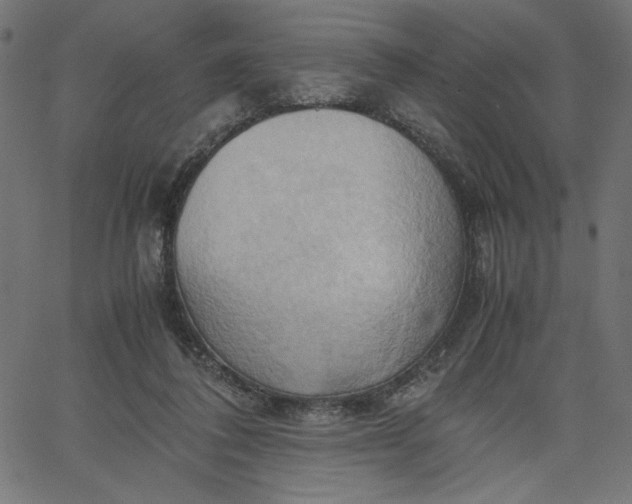 X0000067830308200604271601