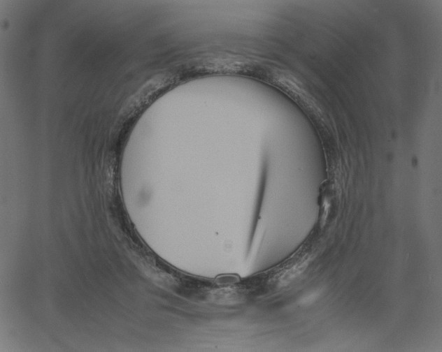 X0000067830309200604271601