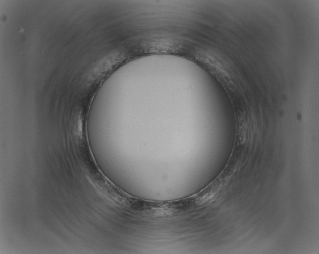 X0000067830310200604271601