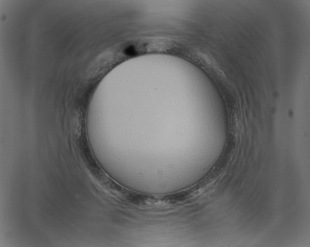 X0000067830311200604271601