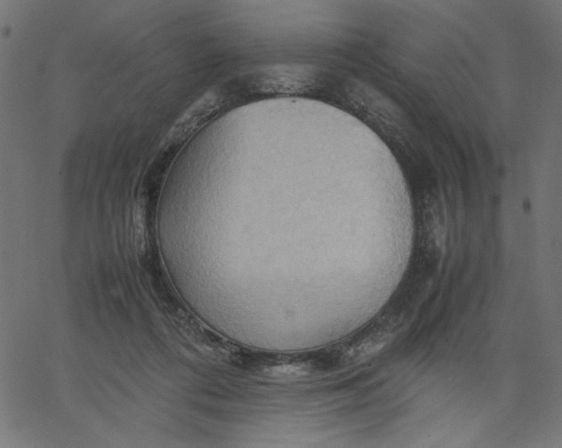 X0000067830312200604271601