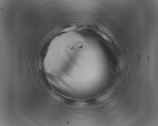 X0000067830313200604271601