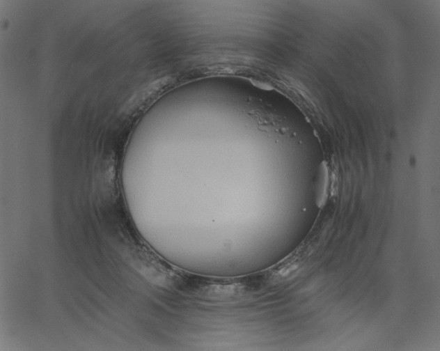 X0000067830314200604271601